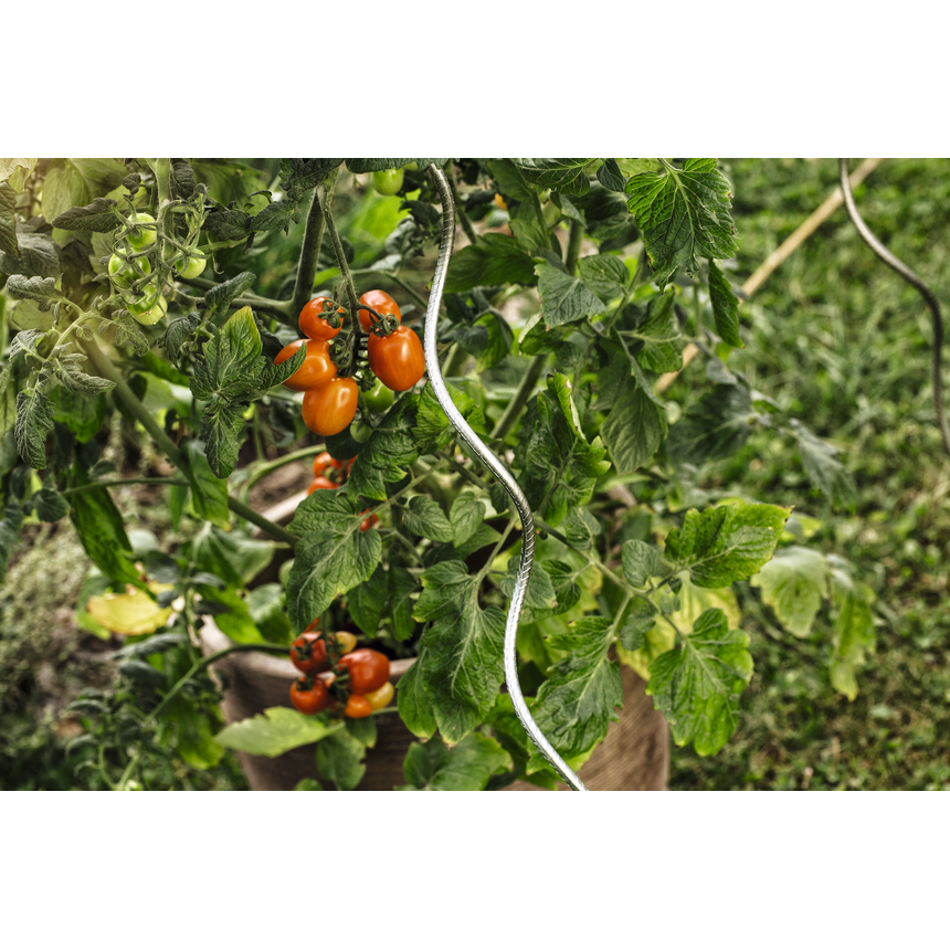 TomatenSpiralstab gerippt 1,8 m Lagerhaus Salzburg